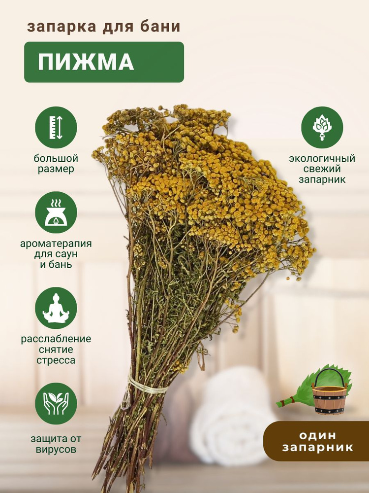 Запарка для бани Пижма, трава-запарник, сухоцвет, 1 шт. - Веник для ...