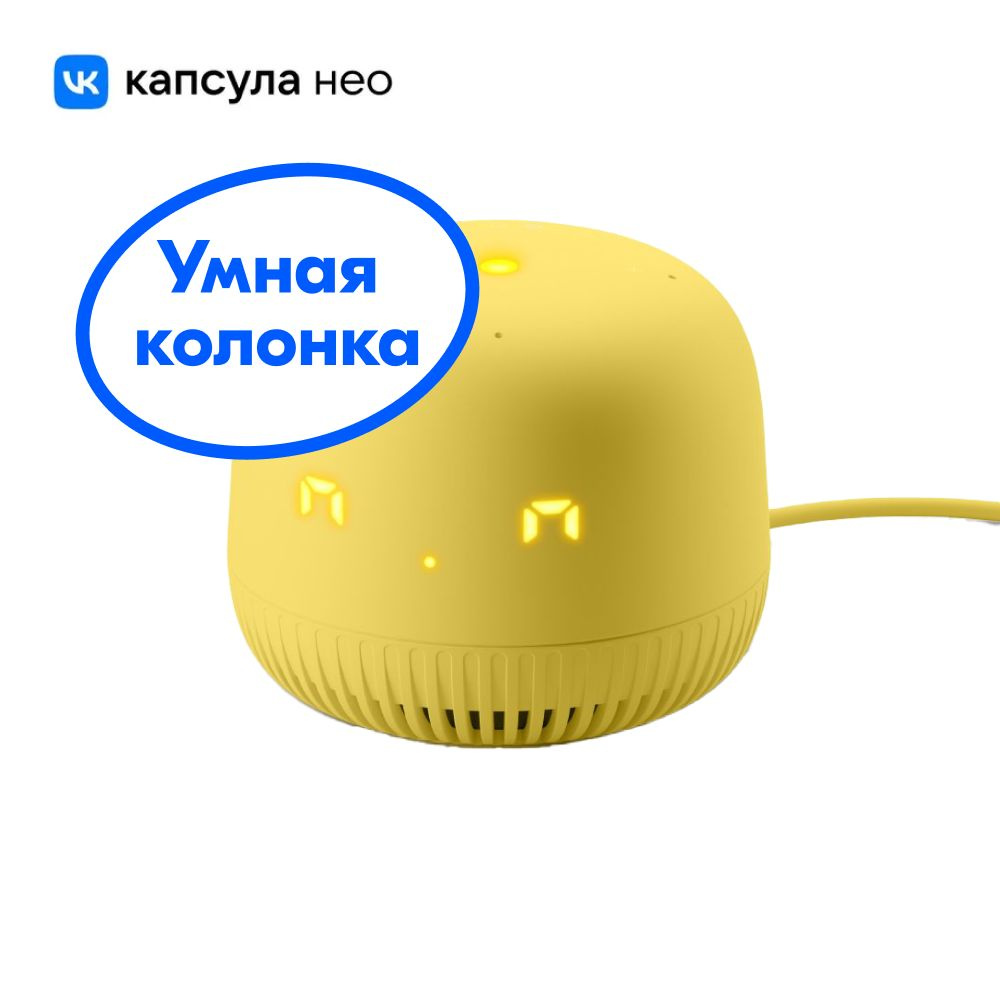 Капсула нео с марусей как подключить. Умная колонка «капсула нео».