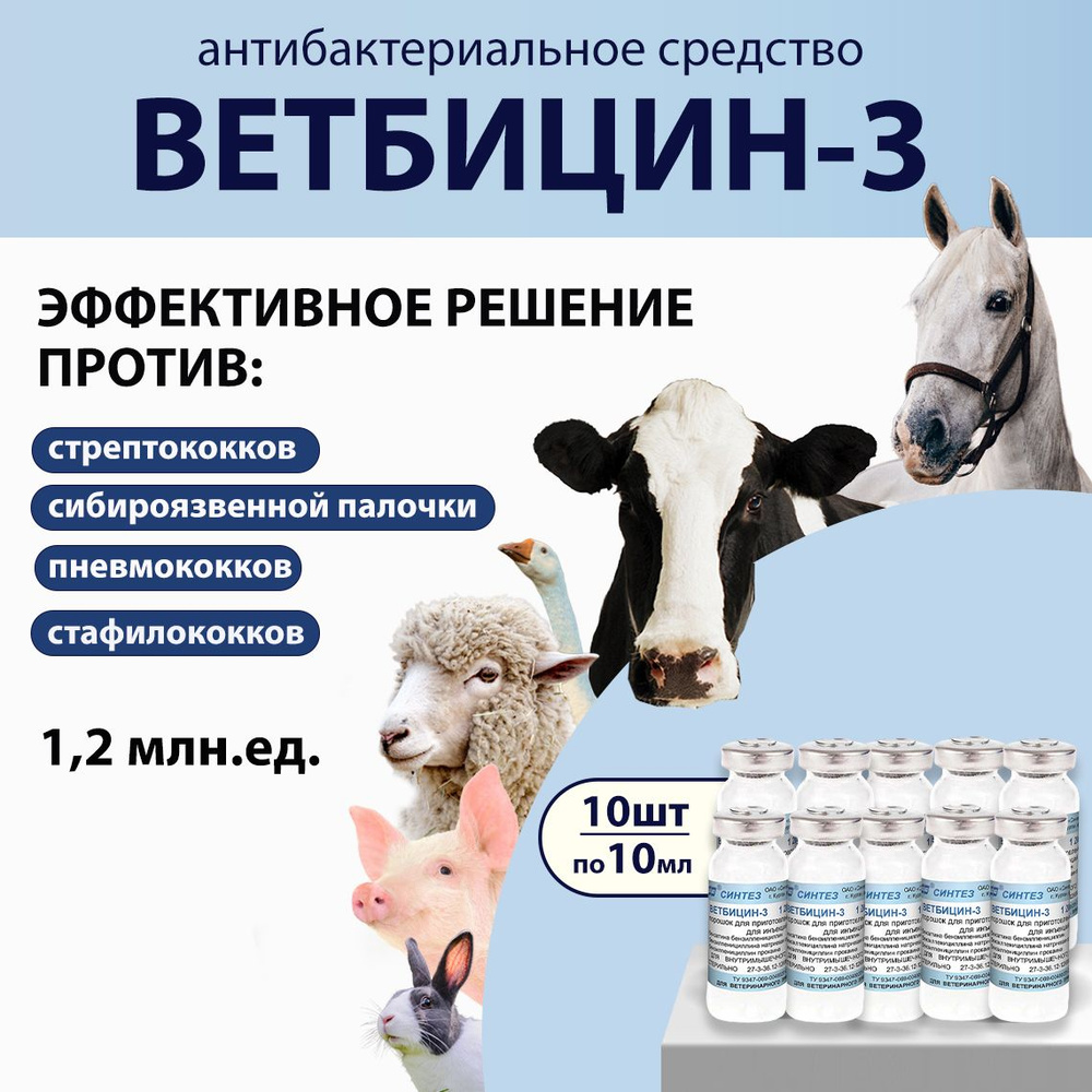 Ветбицин 3 (1,2 млн.ед) комплексное антибактериальное средство 10мл, 10  штук - купить с доставкой по выгодным ценам в интернет-магазине OZON  (599329044)