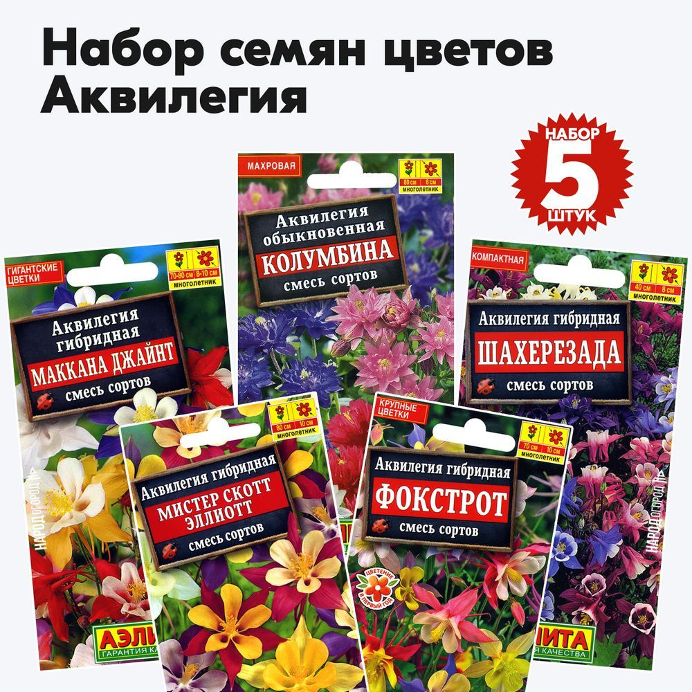 Семена цветов аквилегия (однолетние цветы для сада дачи), комплект 5 пакетиков  #1