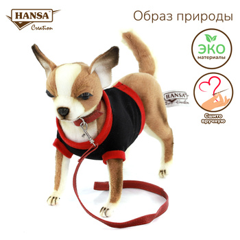 Маленькие Собачки Живые – купить в интернет-магазине OZON по низкой цене