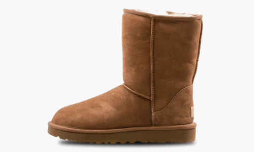 Short store leather uggs