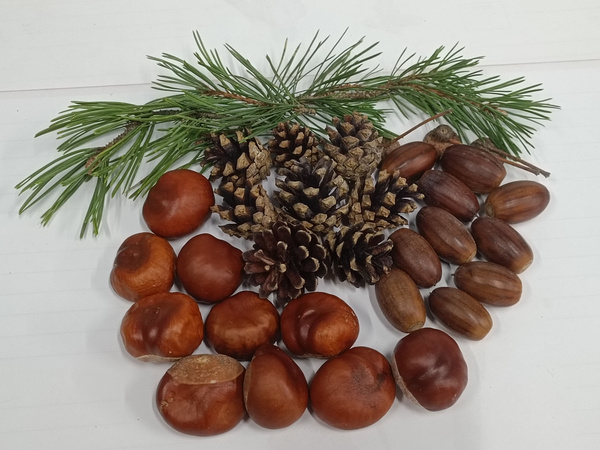 Ауғандық порно секс