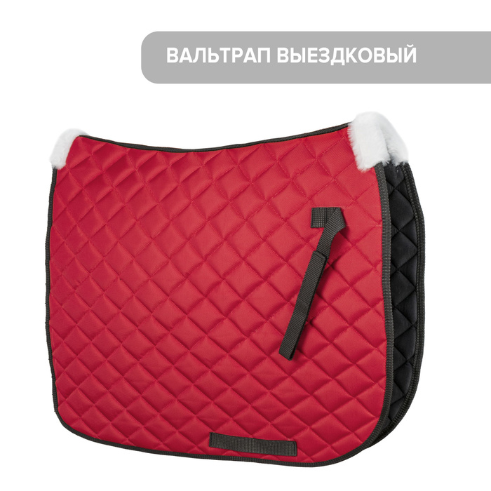 Вальтрап для лошади выездковый / REITER - купить с доставкой по ...