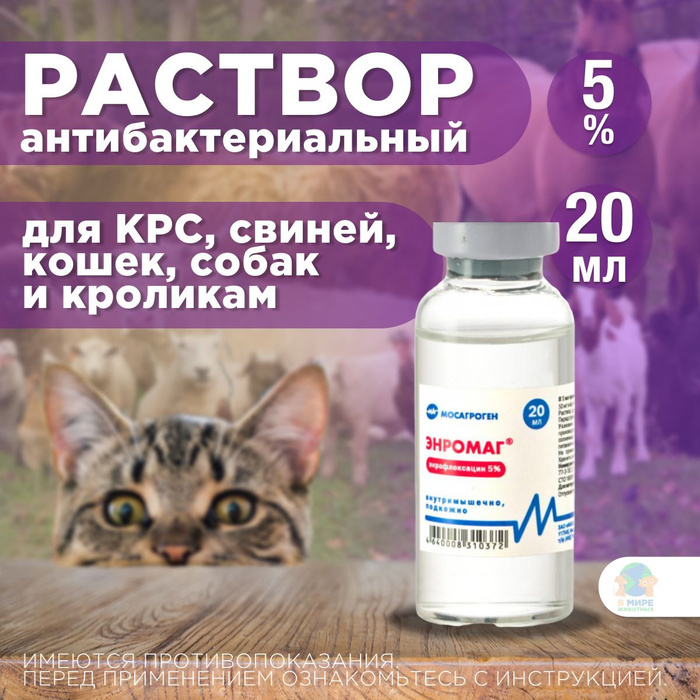 Энромаг для животных инструкция. Энрофлоксацин для собак. Энромаг для животных. Антибактериальный раствор. Энрофлоксацин для голубей