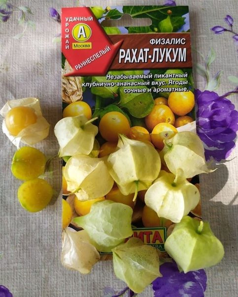 Физалис Рахат Лукум Купить Семена