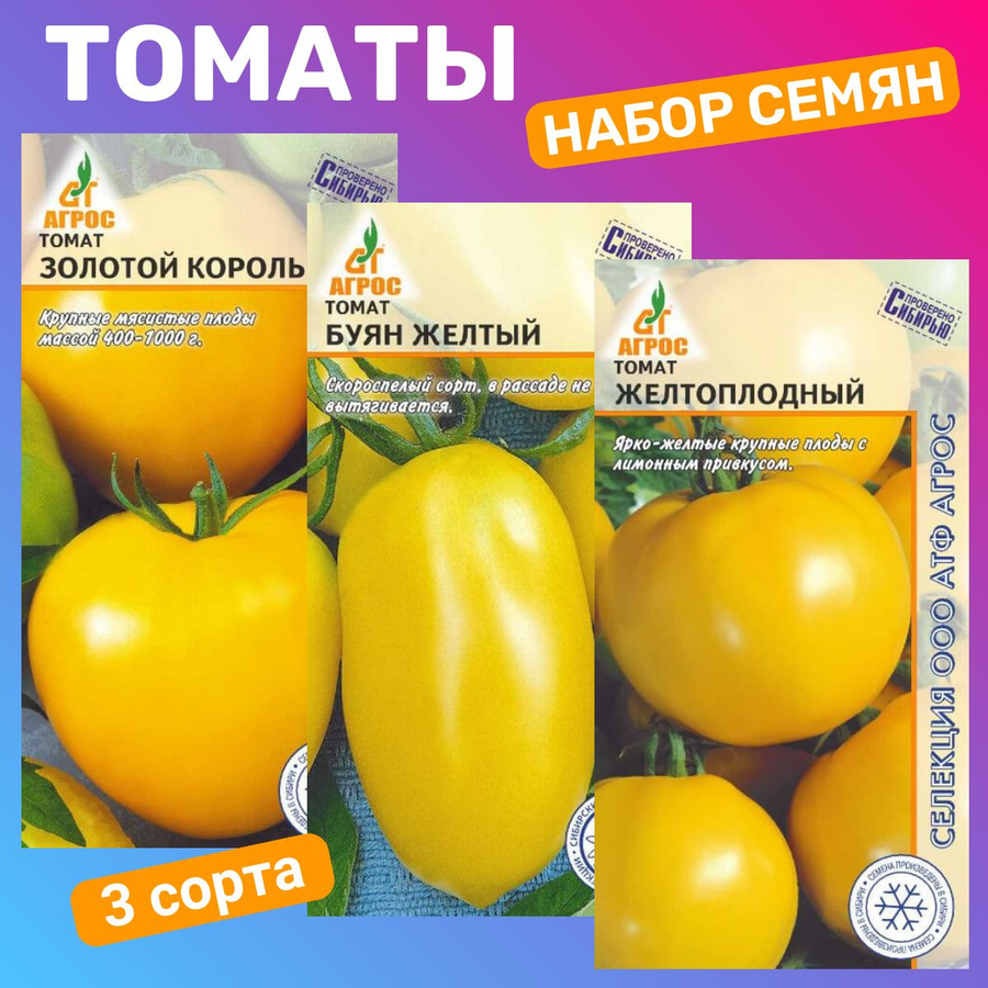Томат штамбовый король отзывы фото урожайность Emerald Standard Tomato: caracteristicile și descrierea soiului, opinia grădinar