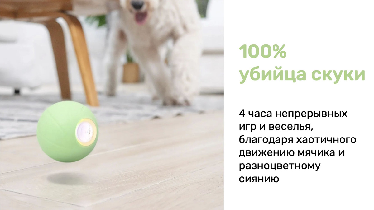 Текстовое описание изображения