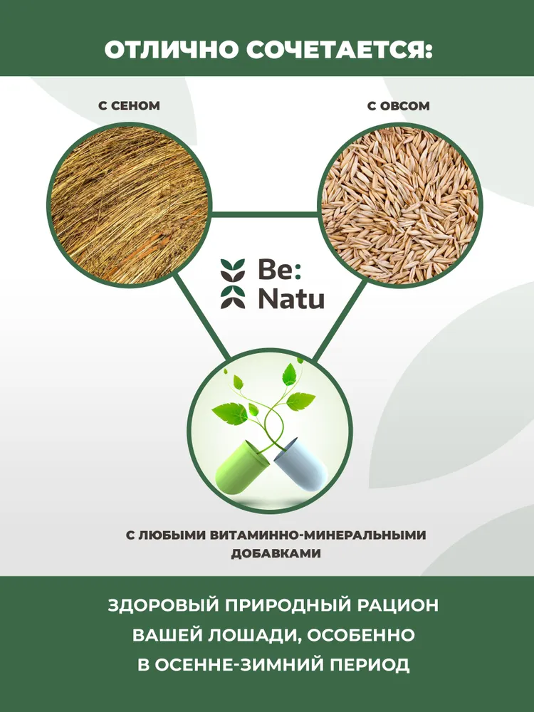 ФормаМакс каша 20 кг / каша для быстрого набора кондиции лошади / Be:Natu высокотехнологичные рационы и корма для лошадей, 20 кг, фото 4