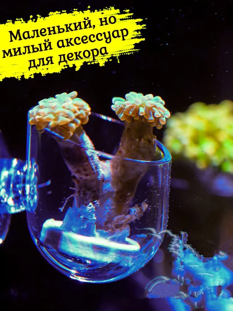 Кормушка для живого корма в аквариум для рыбок, вариант, фото 3