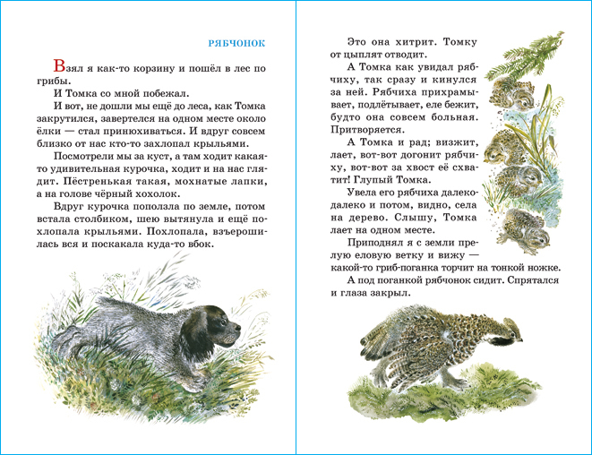 Рассказы про птиц и зверей | Stories About Birds and Animals - Ozon image 2