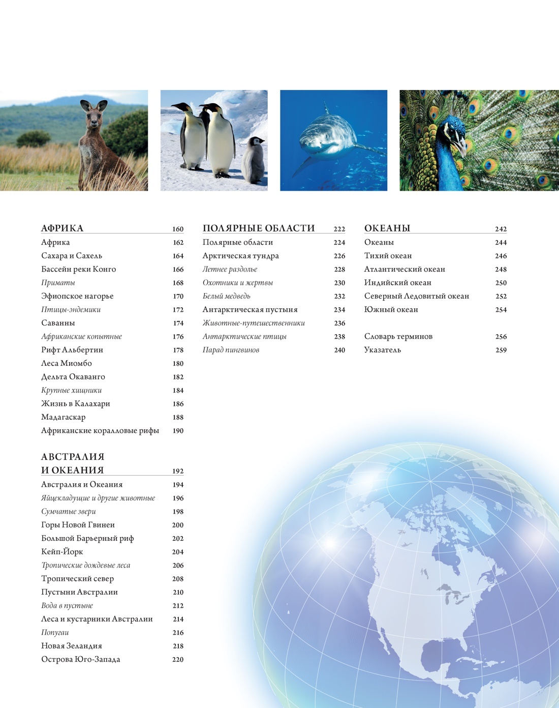 Животный мир. Иллюстрированный атлас | Animal World: Illustrated Atlas - Ozon image 2