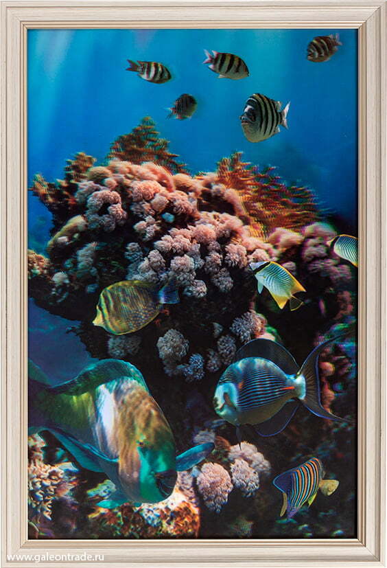 Картина 5D 40 х 60 см, с эффектом 5D Кораллы Картина 5D 40 х 60 см, с эффектом 5D Кораллы