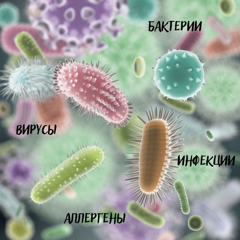 Микроорганизмы с которыми и. Микромир бактерии. Микроорганизмы с которыми и. Микрофотографии патогенных бактерий. Бактерии под микроскопом.