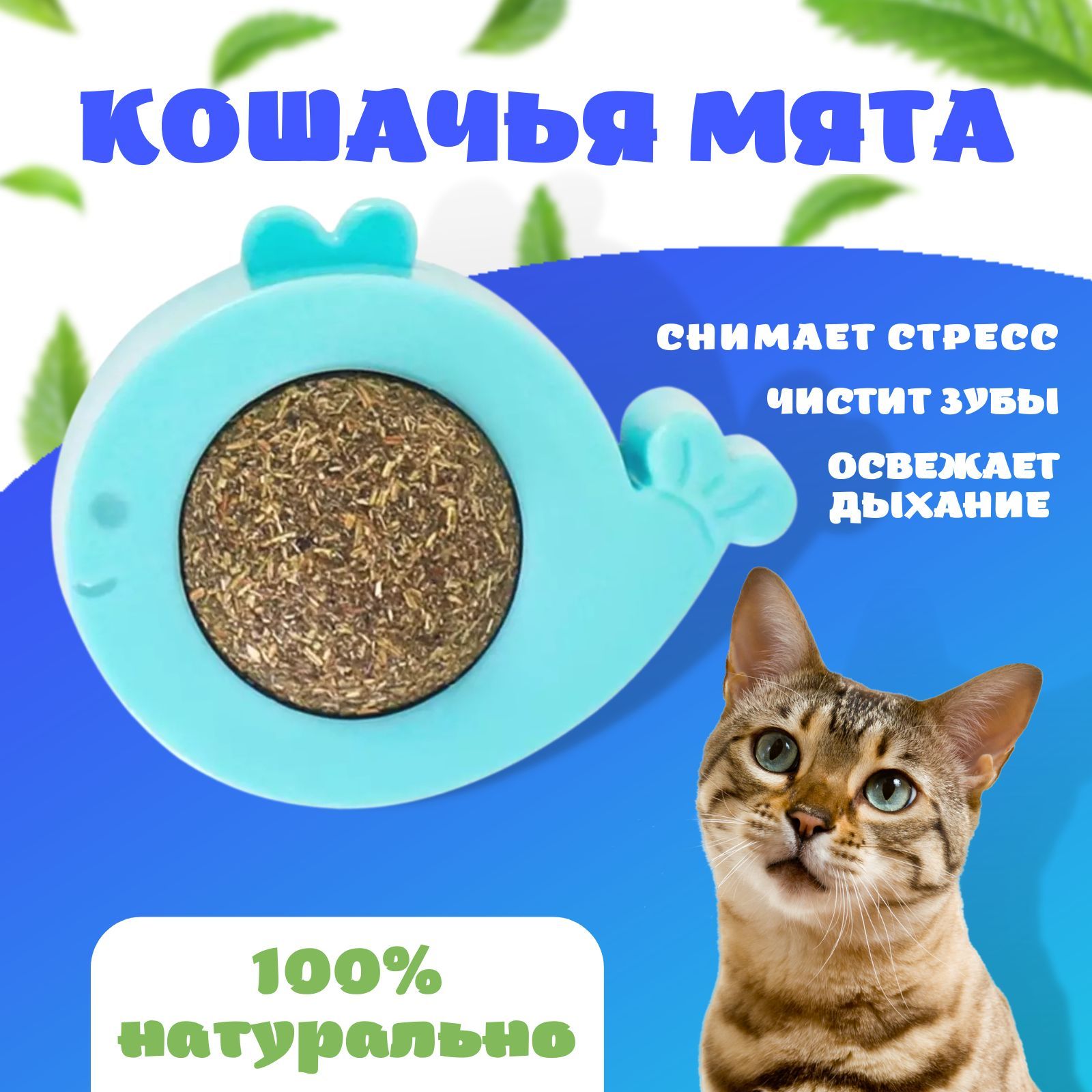 Зеленый стул у кошки