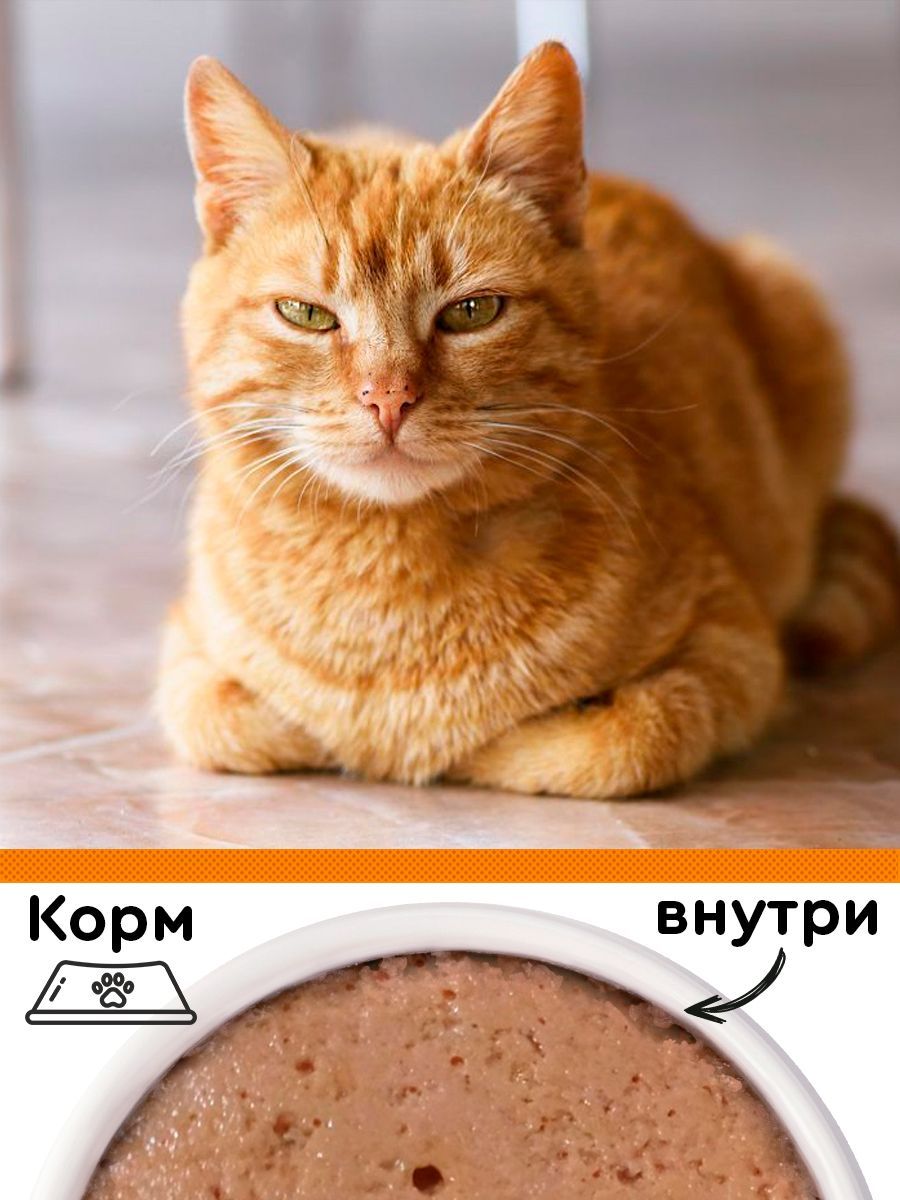 Корм консервированный для кошек Petibon Smart "Паштет с индейкой и ...