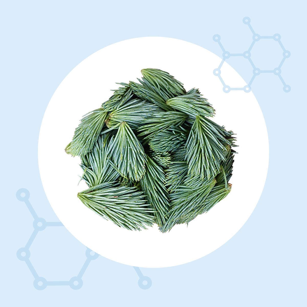 Цинк пиколинат (хелат) + цитрат цинка, Компас Здоровья для красоты ...
