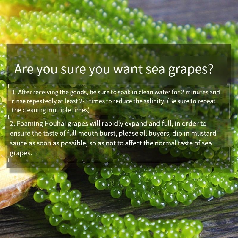 Мгновенный морской виноград 400г морских овощей, - купить с доставкой ...