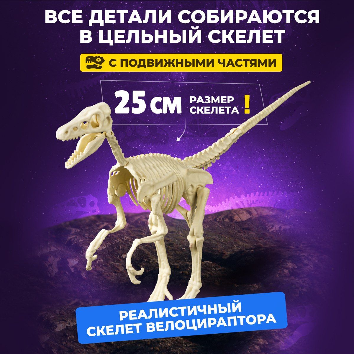 Раскопки динозавра "СКЕЛЕТ ВЕЛОЦИРАПТОР" DINOHIT / Опыты и эксперименты ...