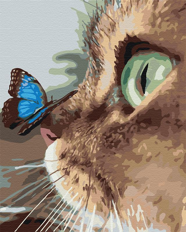 котик с бабочкой на носу