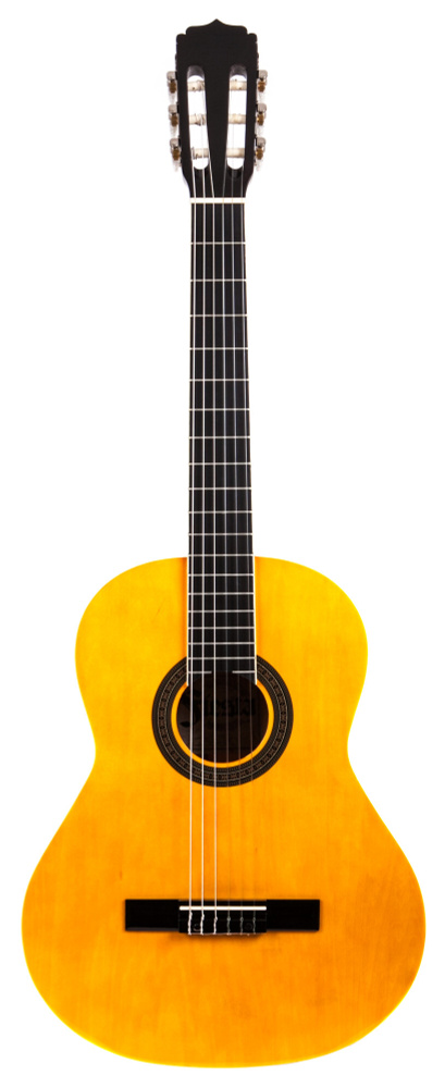 ARIA FIESTA FST-200 N Гитара классическая - купить с доставкой по ...