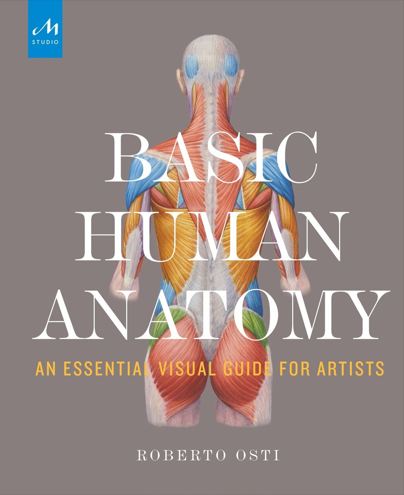 Basic Human Anatomy - купить с доставкой по выгодным ценам в  интернет-магазине OZON (410555964)