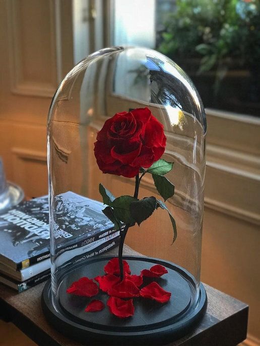 Заказывайте вечную розу в колбе с доставкой по Москве и всей РФ на сайте roselive.ru