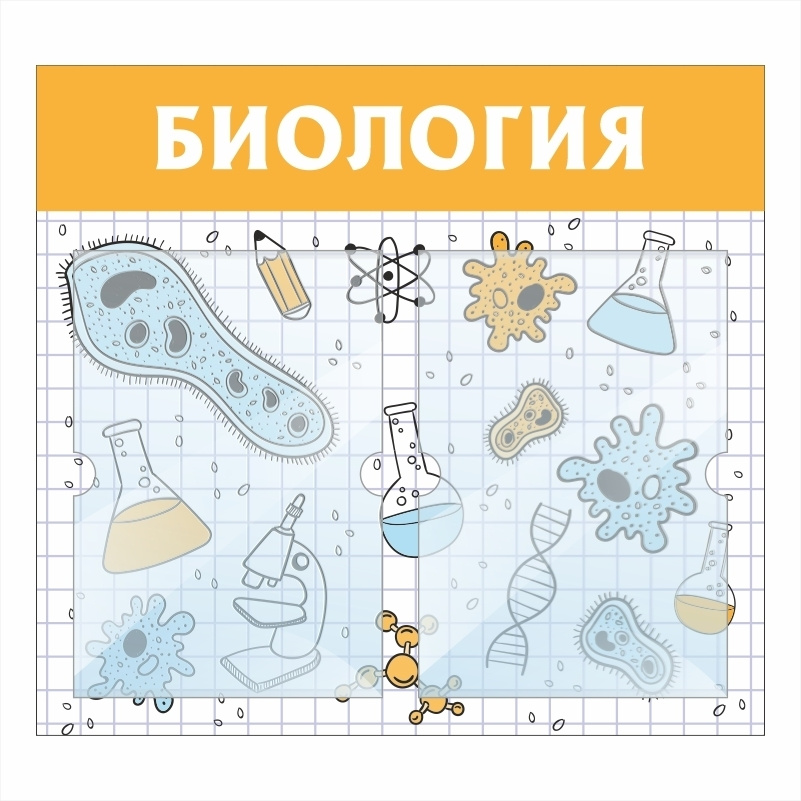 Стенд школьный "Биология" с карманами информационный для школы #1
