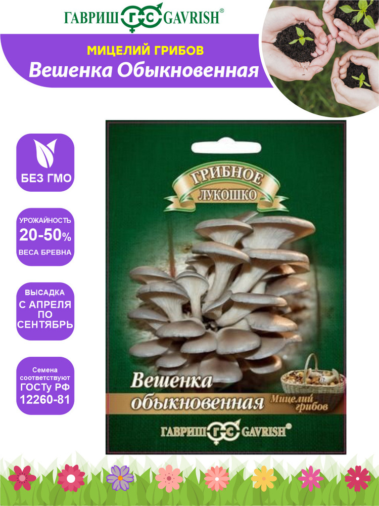 Мицелий Вешенка Обыкновенная на древесной палочке 12 шт. - купить по ...