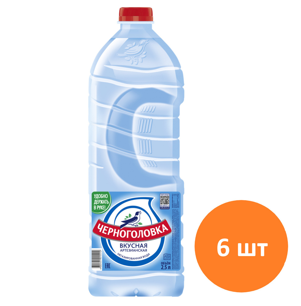 Черноголовка Вода столовая/питьевая негазированная ПЭТ 2,5л (6 Шт.) -  купить с доставкой по выгодным ценам в интернет-магазине OZON (547641248)