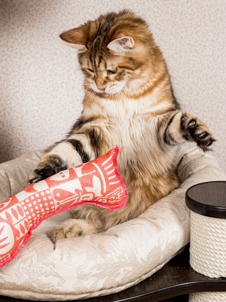 Игрушка для кошек и котят Japan Premium Pet дразнилка в виде игрушки ...