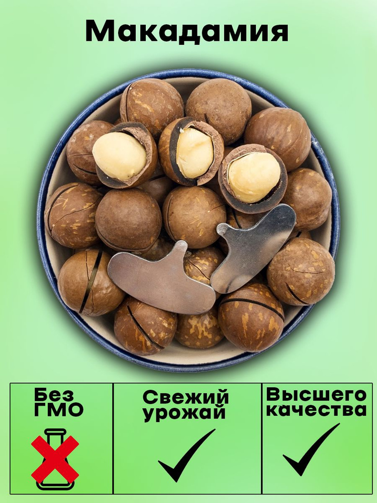 Макадамия в скорлупе, 1000гр , калибр 5А, ключ в комплекте купить на ...