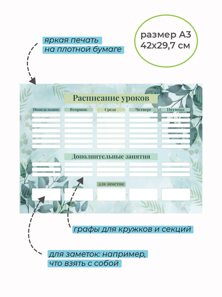 Расписание уроков, для занятий, настенное, плакат, для мальчиков, для девочек, А3  #1