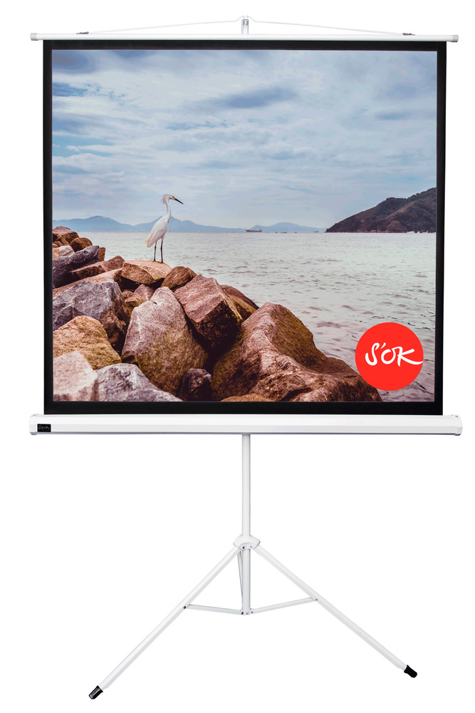 Экран для проектора S'OK SCPST-220x220 123'' 1:1 напольный, на треноге ...