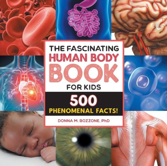The Fascinating Human Body Book for Kids 500 Phenomenal Facts