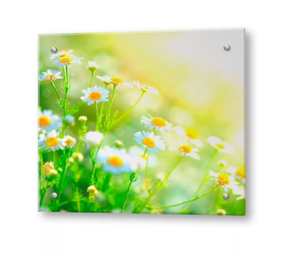 Защитное закаленное стекло для фартука на кухню. Защитный кухонный ...