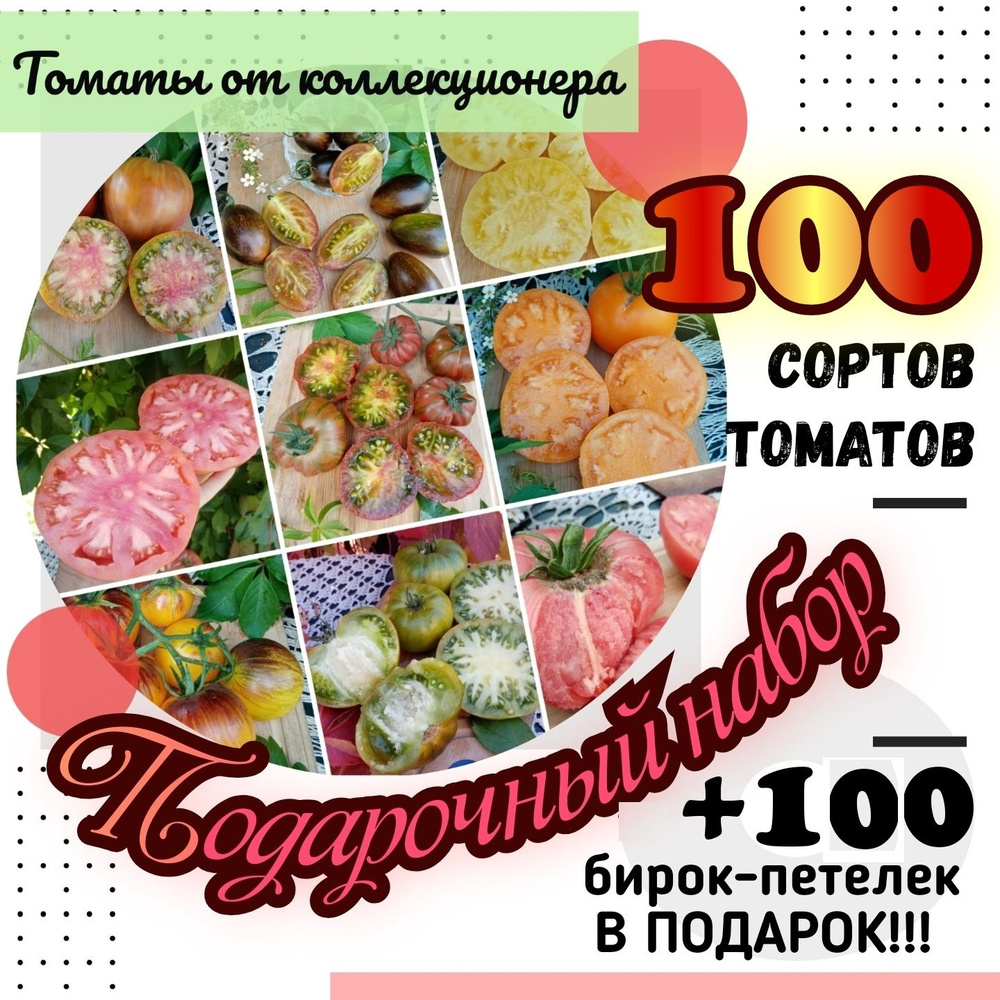 Томаты коллекционные_Подарочный набор 100 сортов томатов - купить по  выгодным ценам в интернет-магазине OZON (772236042)