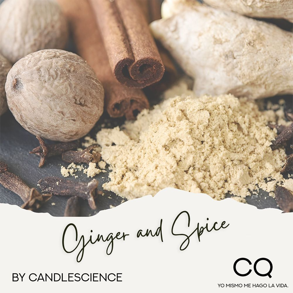 Ароматическая отдушка CandleScience Имбирь и специи, 10 грамм — купить в интернетмагазине