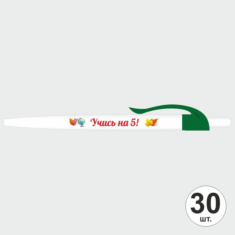 Подарочный набор ручек ПолиЦентр "Учись На 5" 30 шт, темно-зеленый клип, синий стержень #1