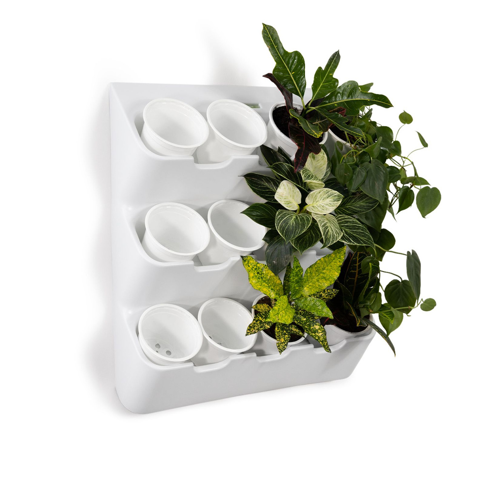 Фитомодуль "BOXSAND 12" (60х65 см) вместимость 12 растений, цвет белый в комплекте с белыми горшками #1