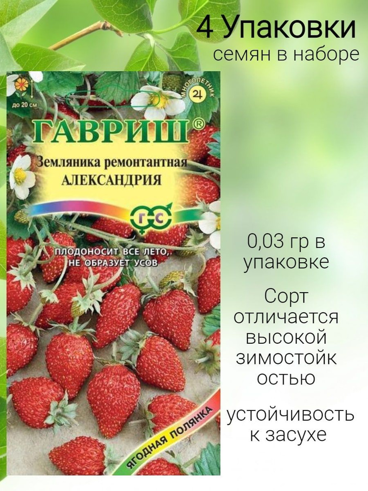 Земляника александрия описание