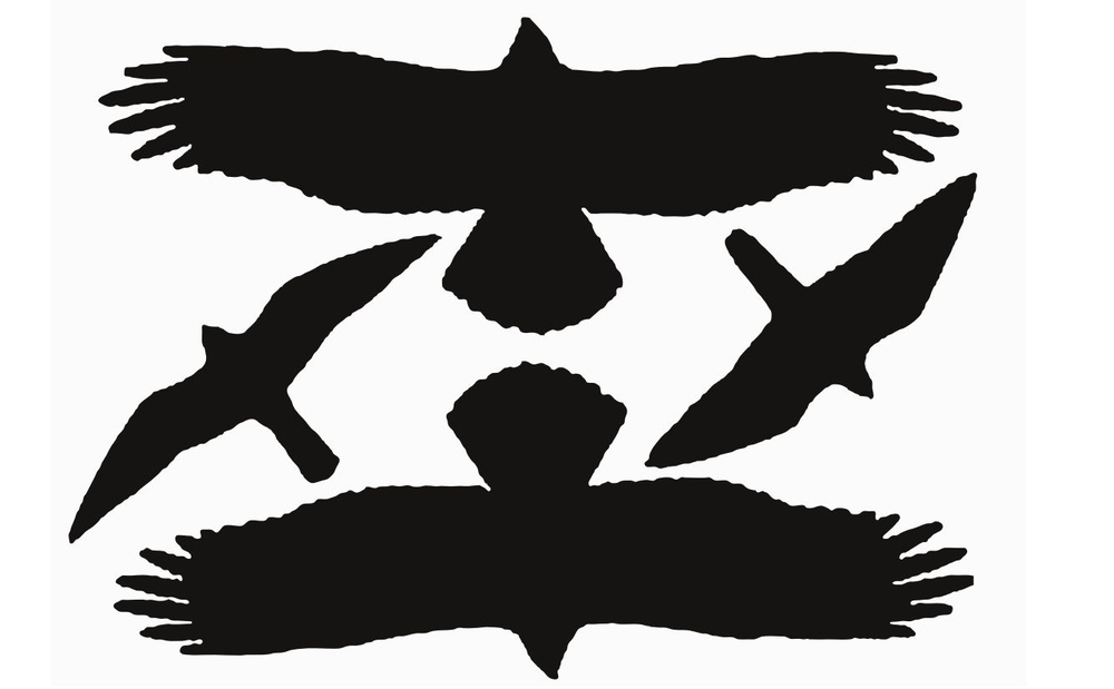 Защита стеклянных дверей и окон от птиц: наклейки (42 x 60) см - V1 ...