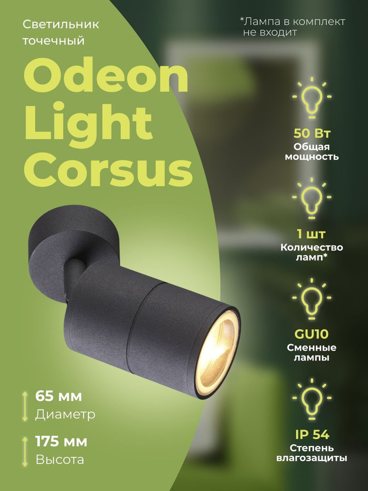 Точечный светильник Odeon Light Corsus 4207/1C #1