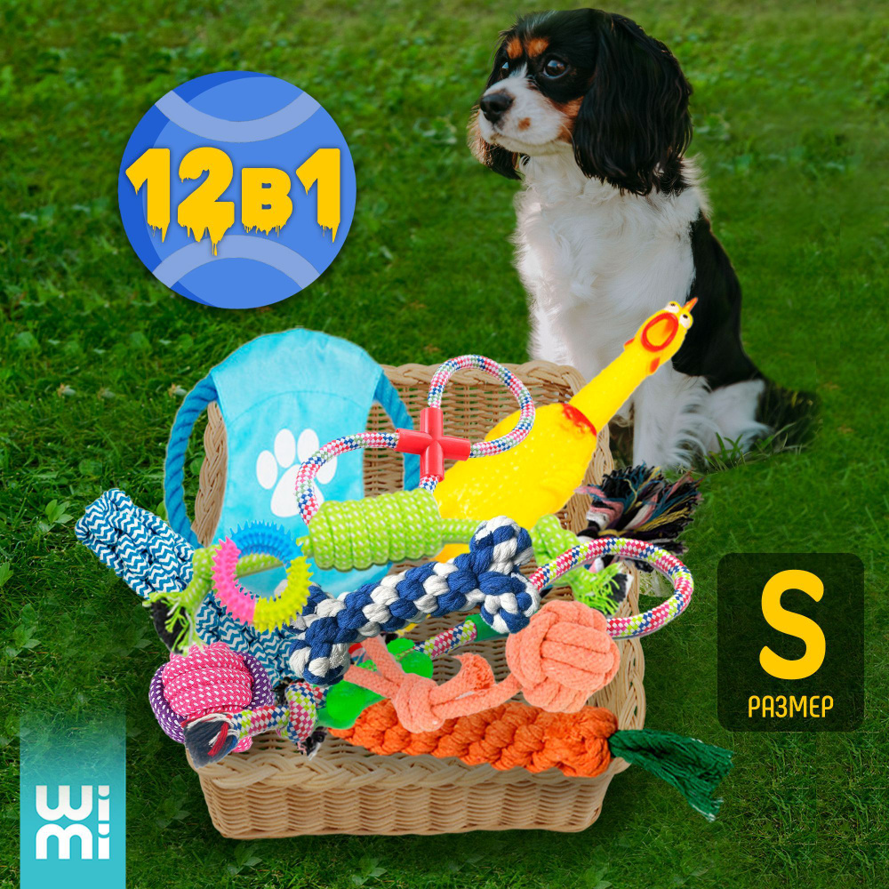 Развивающие игрушки для собак WiMi 12 в 1, большой набор игрушек для  животных, мячики, канатики грейферы и пищалки для щенков, зоотовары для  развлечения питомцев - купить с доставкой по выгодным ценам в
