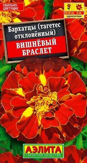 БАРХАТЦЫ ВИШНЕВЫЙ БРАСЛЕТ. Семена. Вес 0,3 гр. Компактные низкорослые с махровыми соцветиями.  #1