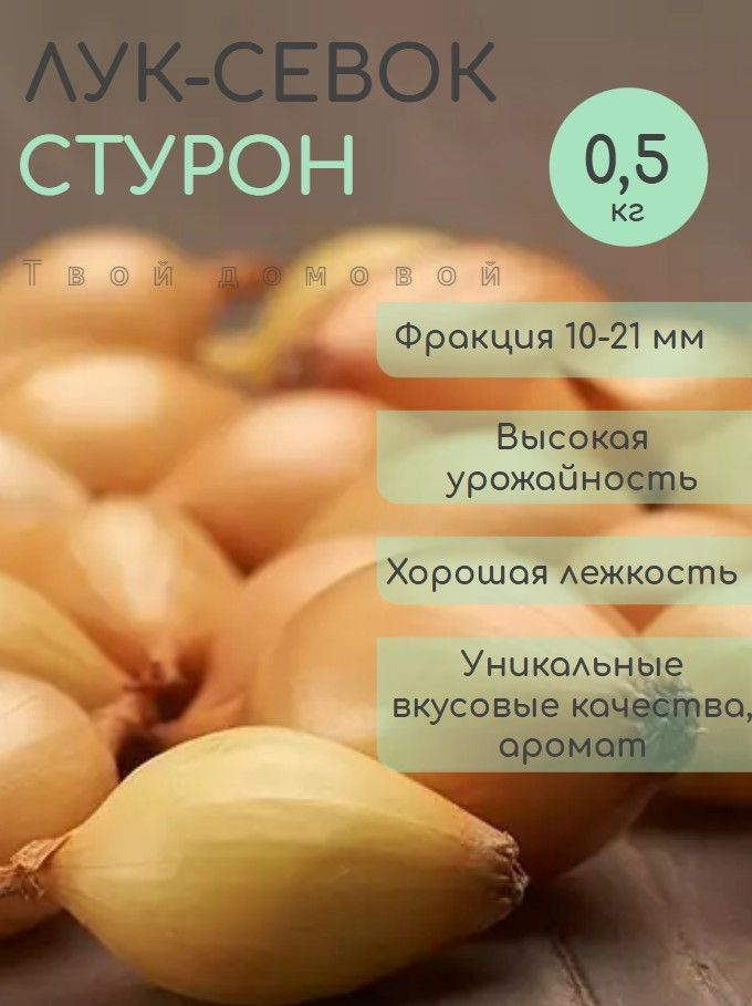 Лук севок Стурон 14/21 1кг