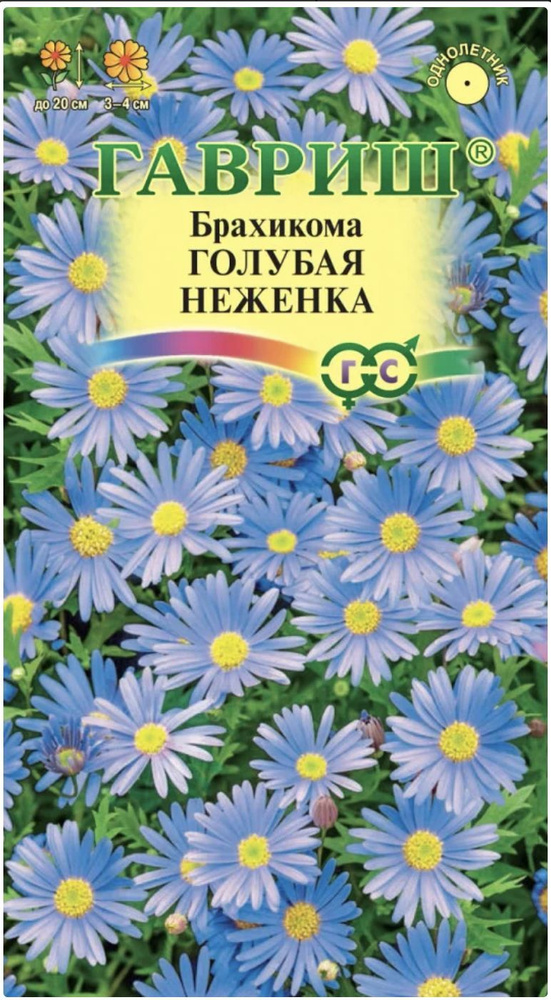 Брахикома ГОЛУБАЯ НЕЖЕНКА, 1 пакет, семена 0,02г, Гавриш #1