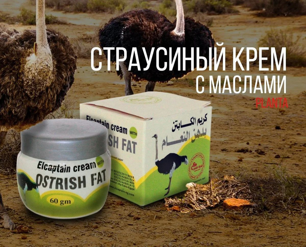 Gozallik bilan ajoyib jinsiy aloqa