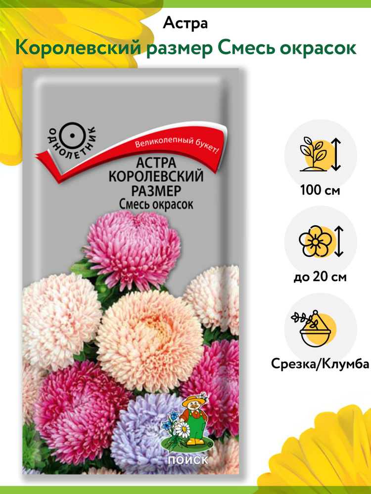 Астра Королевский размер Смесь окрасок (1 упаковка - 0,1 г). Семена однолетних цветов для сада, клумбы, #1