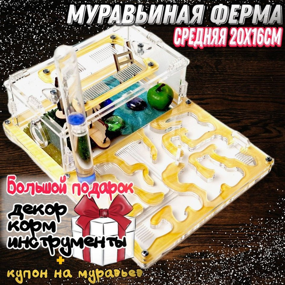 Муравьиная ферма средняя 